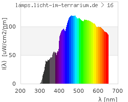 Full Spectrum