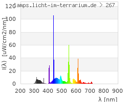 Full Spectrum