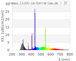 Full Spectrum